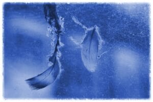 31.Dawn-Jutton_SpodeTrace#8640