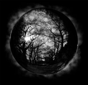 57.Jake-Hall_Shadow Tree Sphere