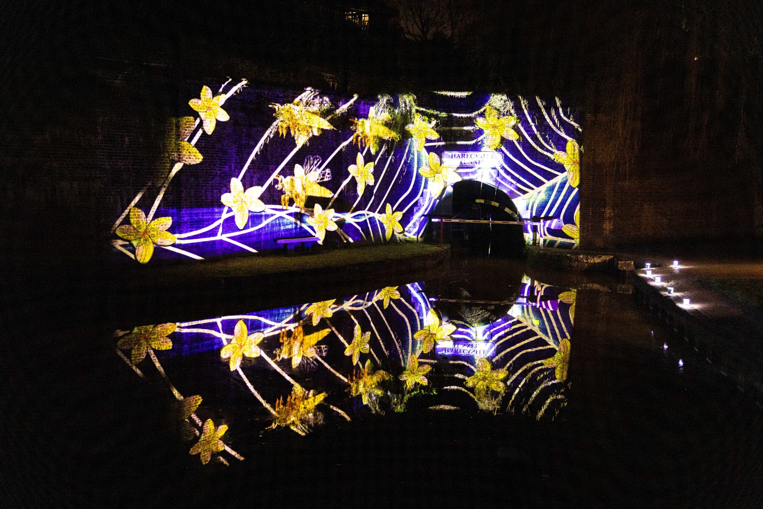 Appetite, Harecastle Tunnel Lantern Parade and Projection, Taster Day, Kidsgrove 22, credit Clara Lou Photography - 88