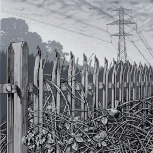 Screen print of a grey and black line drawing depicting the boundary of a former industrial area where a metal pallisade fence is being reclaimed by nature. Namely brambles and a Robin sitting in the forground
