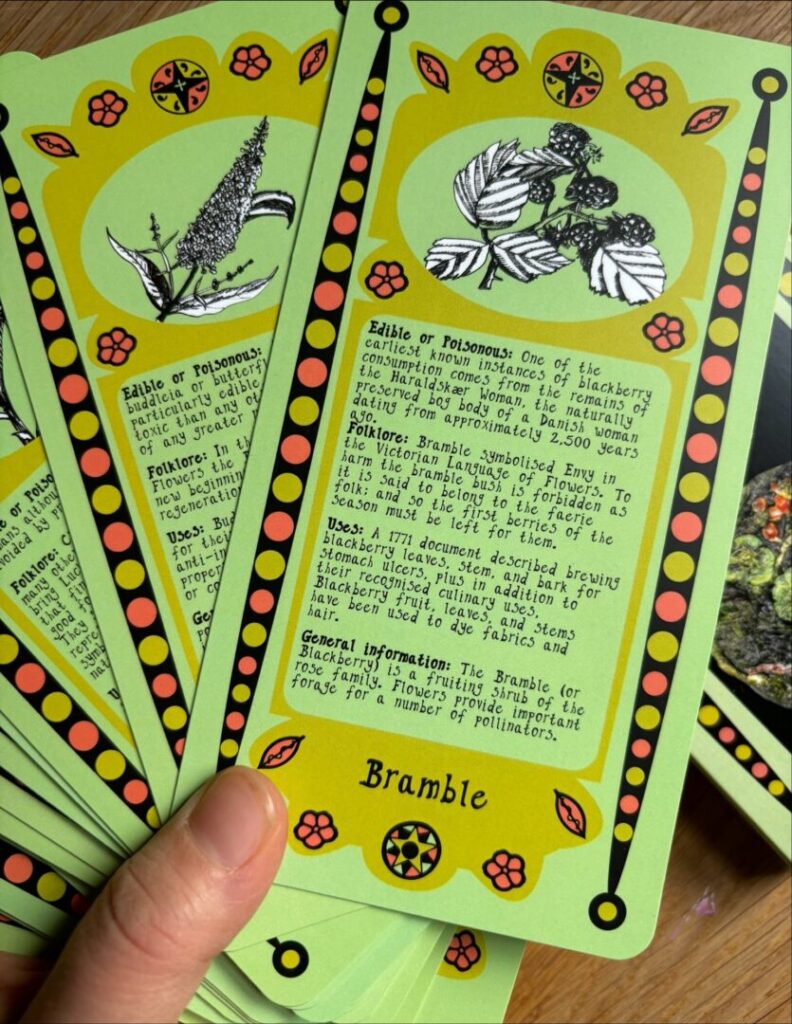 A hand is fanning open a pack of cards. The cards are long rectangles with canal barge style artwork on. Each card has a hand-drawn picture of a plant, and text beneath it. The top card is for Bramble.