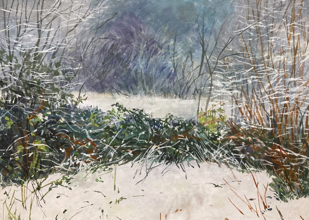 A winter landscape with snow-covered ground and bare trees dusted with snow. Dense green foliage stands out in the center, framed by more trees and a cloudy sky, creating a serene and chilly atmosphere.