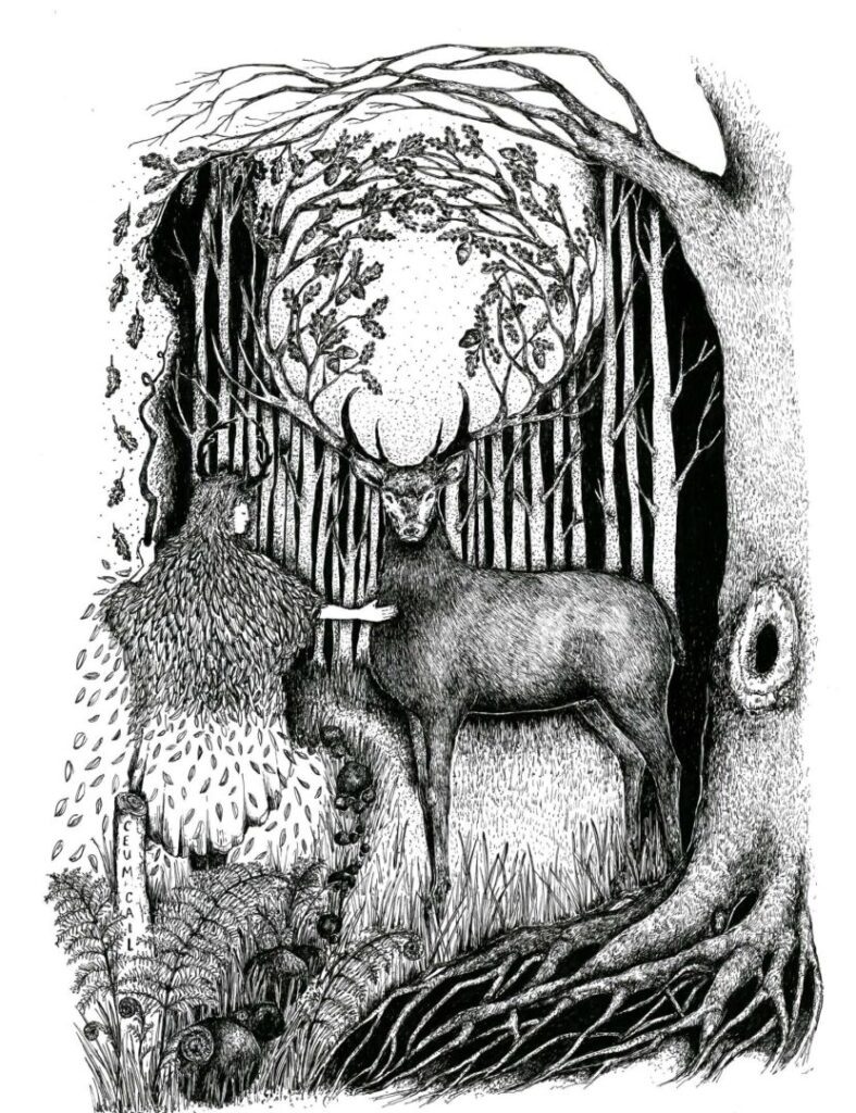 A detailed black and white illustration of a forest scene, featuring a deer and a person wearing a deer headpiece. They are framed by tall trees and intricate branches. The person faces forward while the deer turns towards the viewer. A large tree with exposed roots and a hollow anchors the right side, with dense foliage at the base.