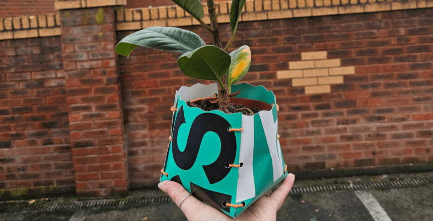 A hand is holding out a green and white plant pot in front of the camera. There is also a plant inside with green and yellow leaves. In the background is a brick wall.